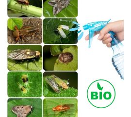 От вредителей и мышей