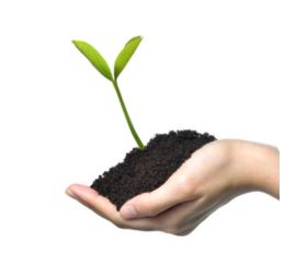 Для рассады, комнатных растений и микрозелени